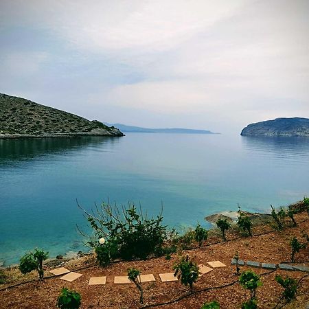 Tholos Alexandra'S Beachfront House Kavoúsion Extérieur photo