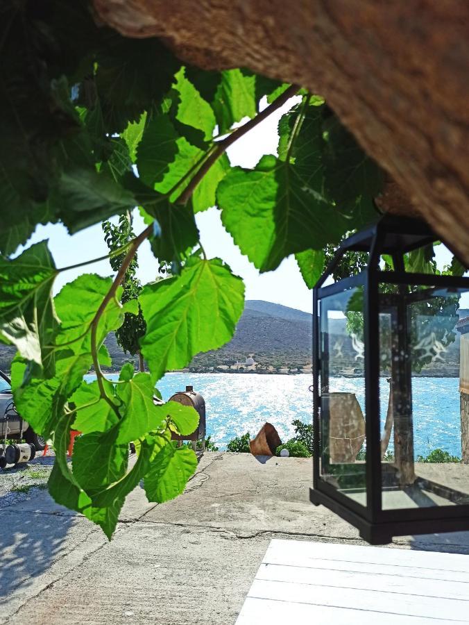 Tholos Alexandra'S Beachfront House Kavoúsion Extérieur photo