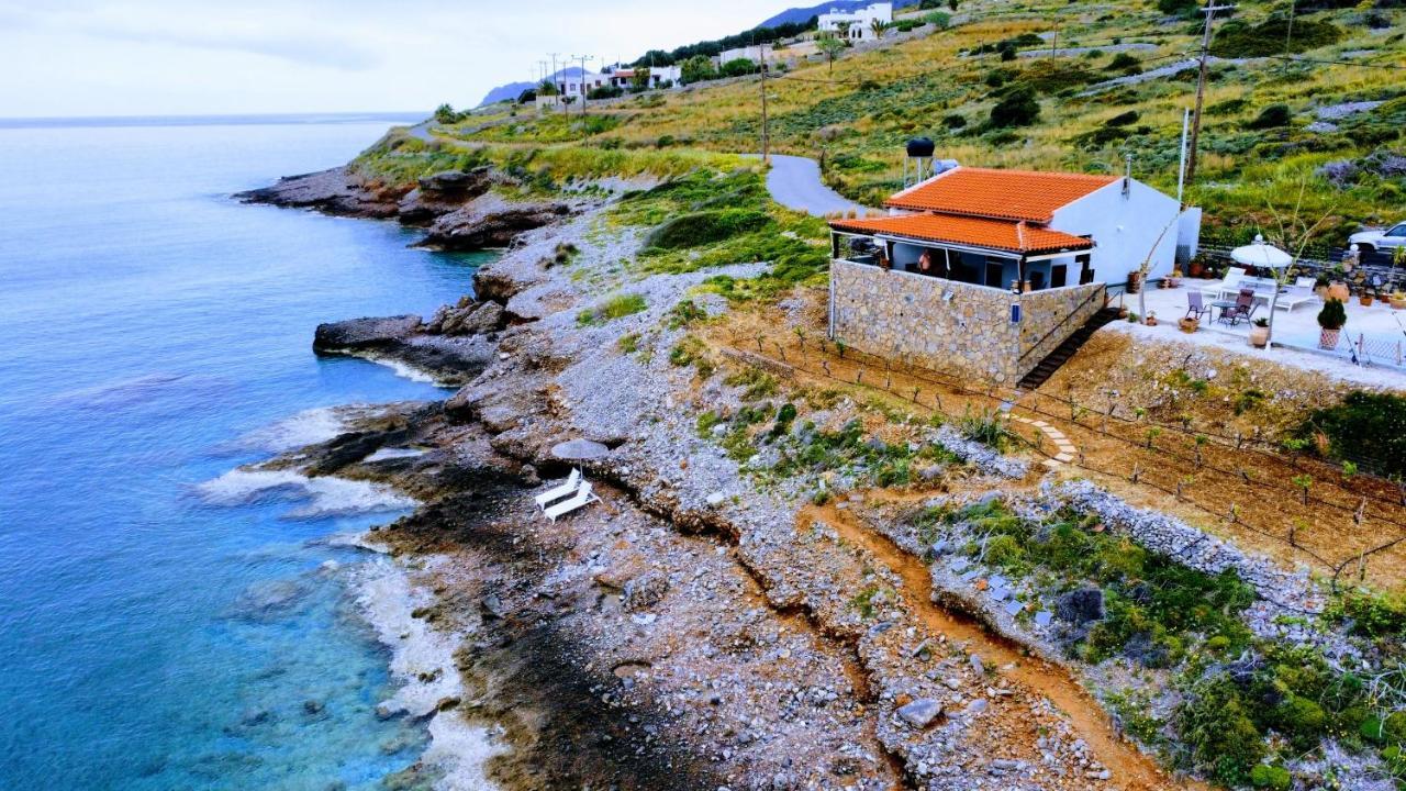 Tholos Alexandra'S Beachfront House Kavoúsion Extérieur photo