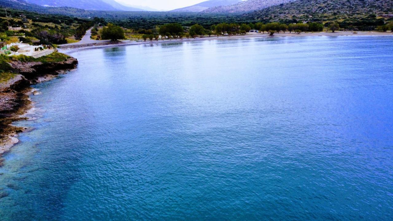 Tholos Alexandra'S Beachfront House Kavoúsion Extérieur photo
